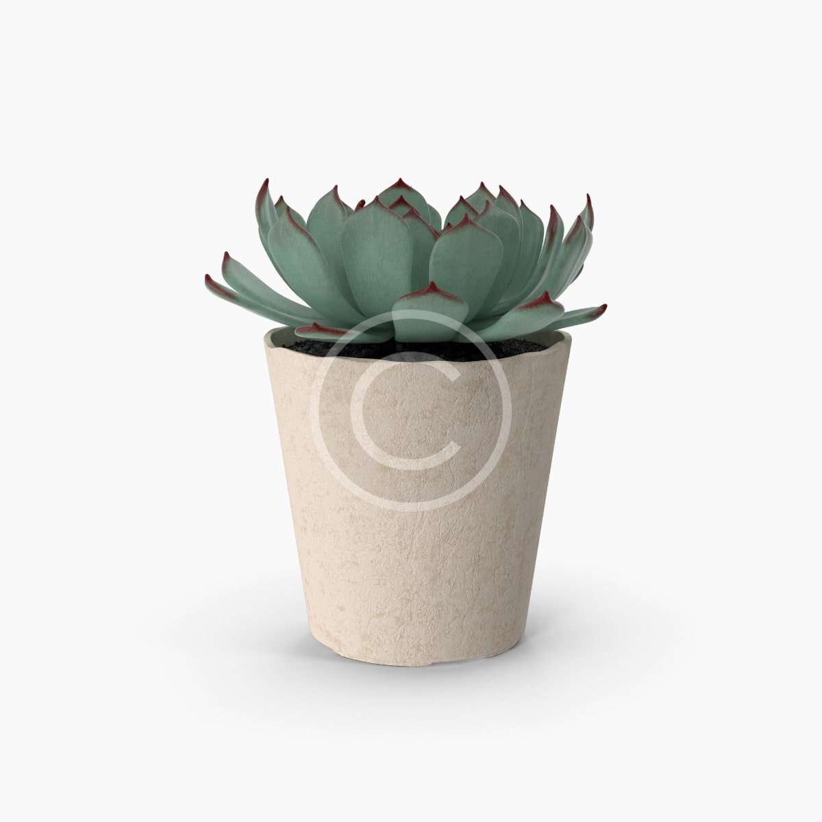 product-10-copyright